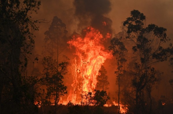 أستراليا تستعد لمواجهة الأسوأ في حرائق الغابات أخبار صحيفة الرؤية