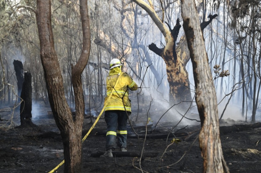 حرائق الغابات في أستراليا تصل ضواحي سيدني أخبار صحيفة الرؤية