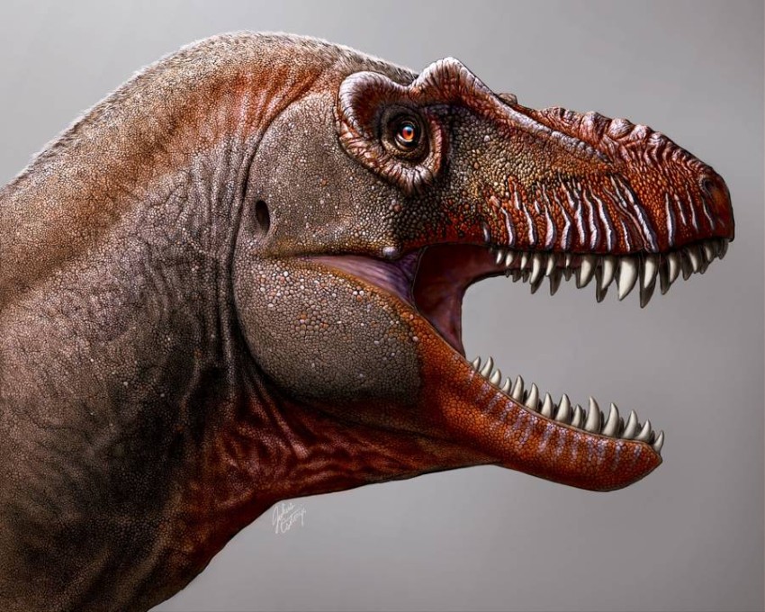 ديناصورات واجهة الرياض