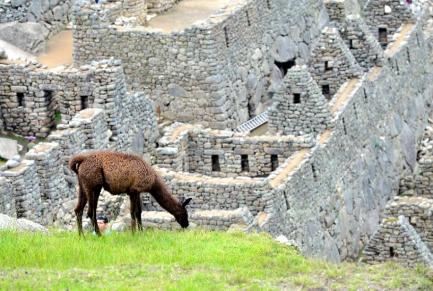 بعد 3 أشهر إغلاق قلعة ماتشو بيتشو تفتح أبوابها في البيرو أخبار صحيفة الرؤية