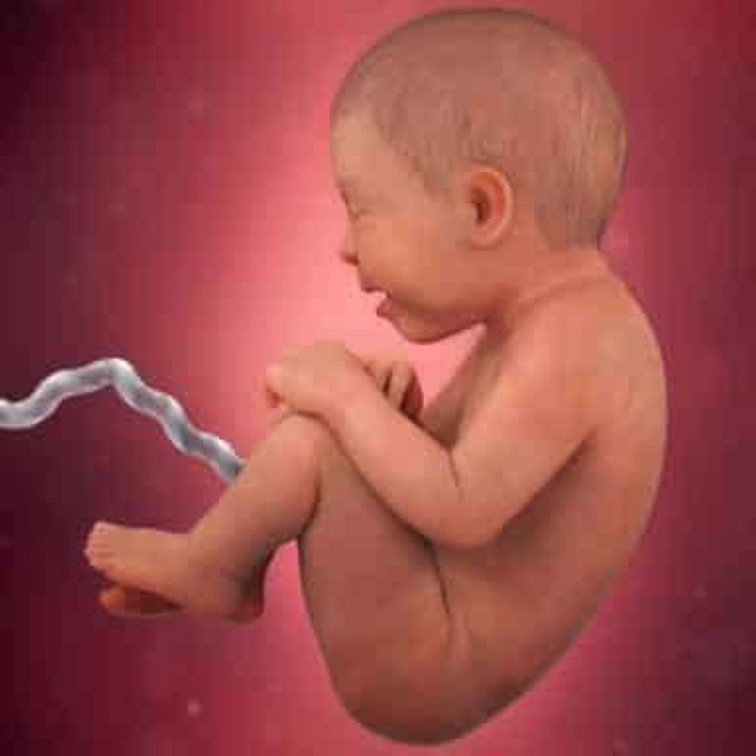صور مراحل نمو الجنين خلال 40 أسبوعا أخبار صحيفة الرؤية