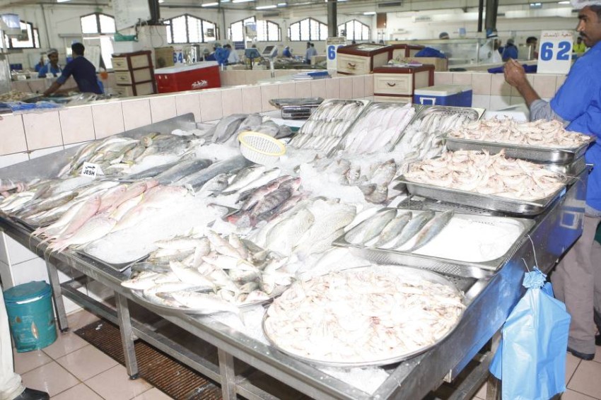 23 انخفاض أسعار الأسماك في أبوظبي أخبار صحيفة الرؤية