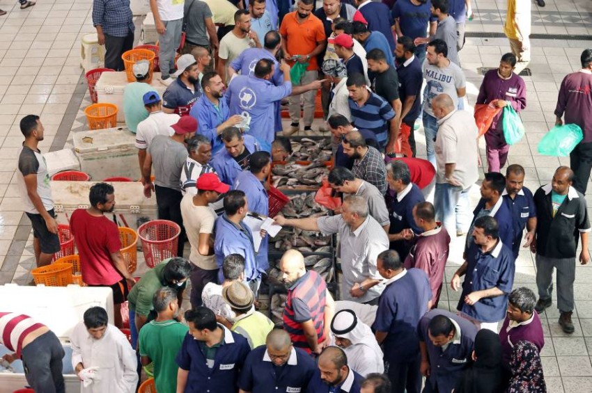 متسوقوقن يتفقدون أنواع الأسماك المختلفة عرضها باعة وصيادين بسوق السمك بالكويت